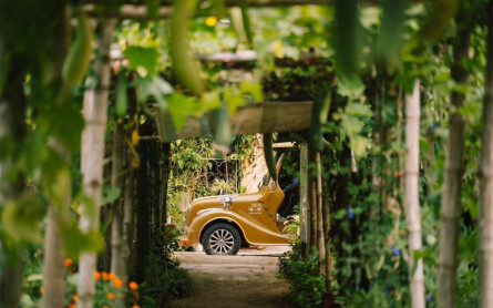 Top những địa điểm du lịch hấp dẫn nhất Hội An nên đi tham quan bằng xe điện