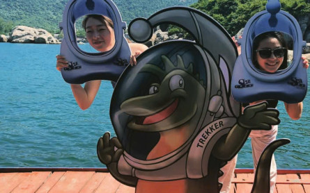 Đi bộ dưới đáy biển Cù Lao Chàm (Sea treak): Trải nghiệm “có 1-0-2” cho hội mê khám phá!