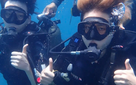 Lặn biển Cù Lao Chàm (Diving): Trải nghiệm “đỉnh của chóp” cho hội mê khám phá!