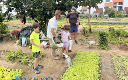 Khám Phá Làng rau Trà Quế Hội An: Hướng Dẫn Chi Tiết Cập Nhật Mới Nhất