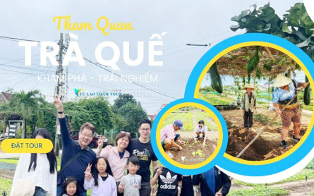 Lạc bước làng rau Trà Quế Hội An Đà Nẵng: “Lên đồ” sao cho chất?