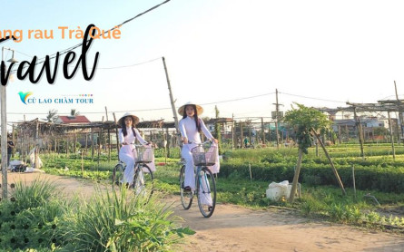 Chinh phục “Vương quốc rau sạch” Trà Quế từ Hội An và Đà Nẵng: Lựa chọn nào cho bạn?