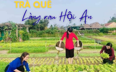 Trải nghiệm Làng rau Trà Quế “chuẩn không cần chỉnh” cho người lần đầu ghé thăm