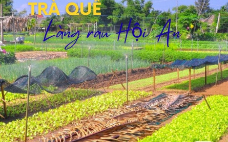 Vượt Lũy Tre Làng, Thưởng Ngoạn Rau Trà Quế Bằng Taxi: Giá Cả & Dịch Vụ