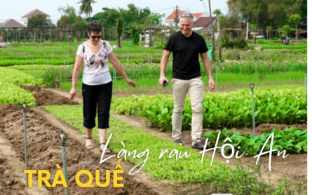 Hướng dẫn về làng rau Trà Quế “xanh mướt” từ phố cổ Hội An
