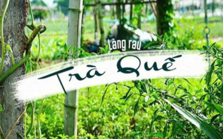 Về làng rau Trà Quế Hội An bằng xe máy: “Phượt” nhẹ nhàng, khám phá trọn vẹn!