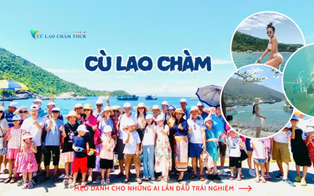 “Phượt” Cù Lao Chàm Tự Túc: Từ A Đến Z Bí Kíp “Sống Sót” Cho Dân “Solo” và Team “Tự Lái”!