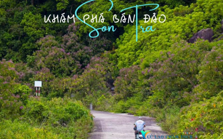 Di chuyển vào Sơn Trà Đà Nẵng nên chọn xe máy, taxi hay tour?