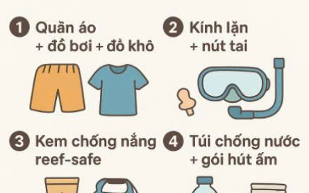 Đi tour Sơn Trà Đà Nẵng lặn ngắm san hô cần chuẩn bị những gì?