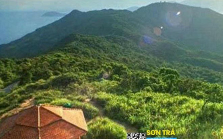 Khám phá Nhà Vọng Cảnh Bán đảo Sơn Trà trong 1 ngày