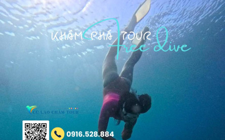 Free Dive Sơn Trà (lặn tự do) – Chạm vào “thiên đường dưới mặt nước” của Đà Nẵng
