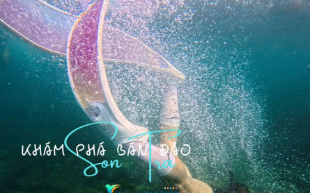 Đi du lịch Sơn Trà Đà Nẵng có món ăn đặc trưng nào?