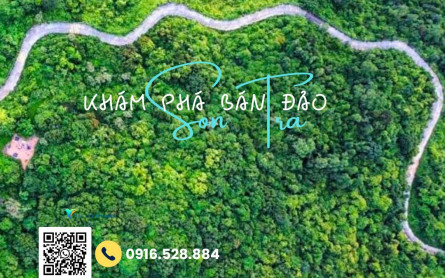 Ở Sơn Trà Đà Nẵng có Taxi/Grab có thể vào đỉnh Bàn Cờ không?