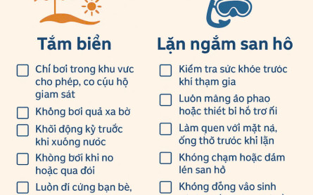 Lưu ý và quy định an toàn sức khỏe cho khách du lịch Cù Lao Chàm khi tham gia tắm biển và lặn ngắm san hô