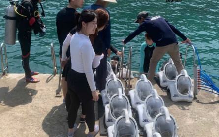 Tour Cù Lao Chàm Nửa Ngày – Kinh Nghiệm Thật, Cảm Xúc Thật