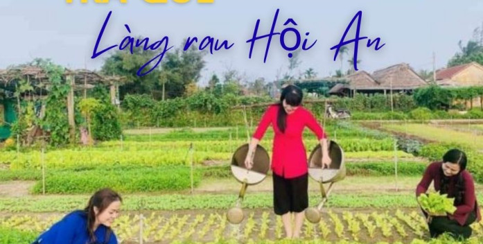 Trải nghiệm Làng rau Trà Quế “chuẩn không cần chỉnh” cho người lần đầu ghé thăm