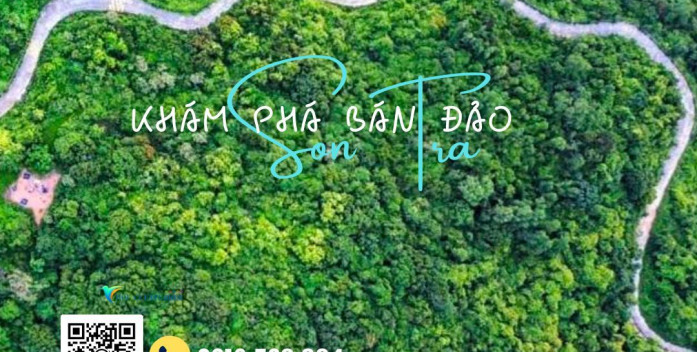 Ở Sơn Trà Đà Nẵng có Taxi/Grab có thể vào đỉnh Bàn Cờ không?