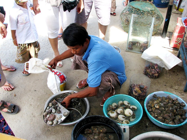 Ngư dân bán hải sản đánh bắt cho khách du lịch đến đảo Cù Lao Chàm