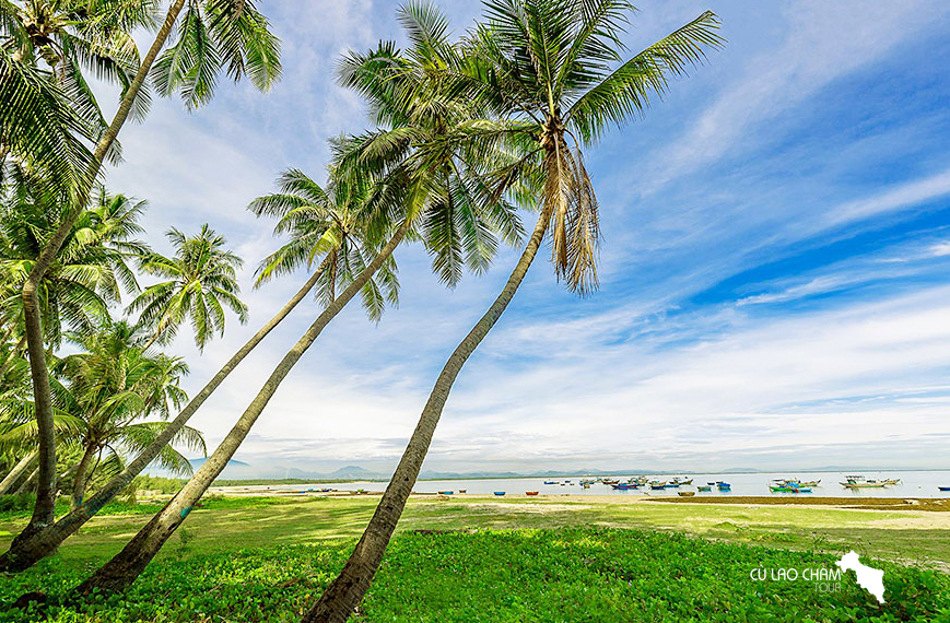 Bãi biển Tam Hải là một điểm tuyệt vời để nghĩ ngơi