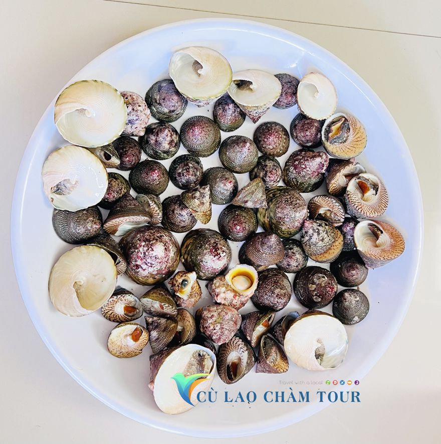 Thưởng thức hải sản Cù Lao Chàm là một trải nghiệm đáng để thử