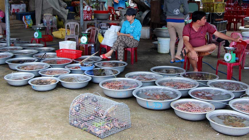 Chợ hải sản Cù Lao Chàm