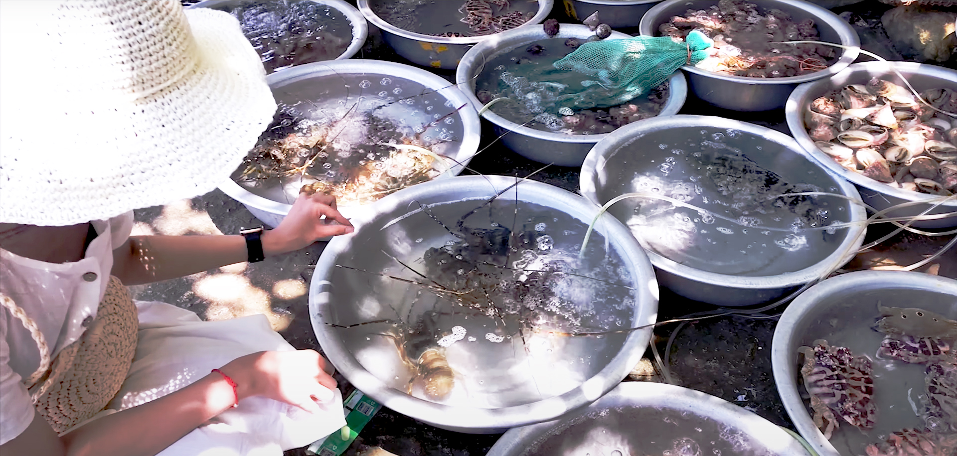 Hải sản Cù Lao Chàm