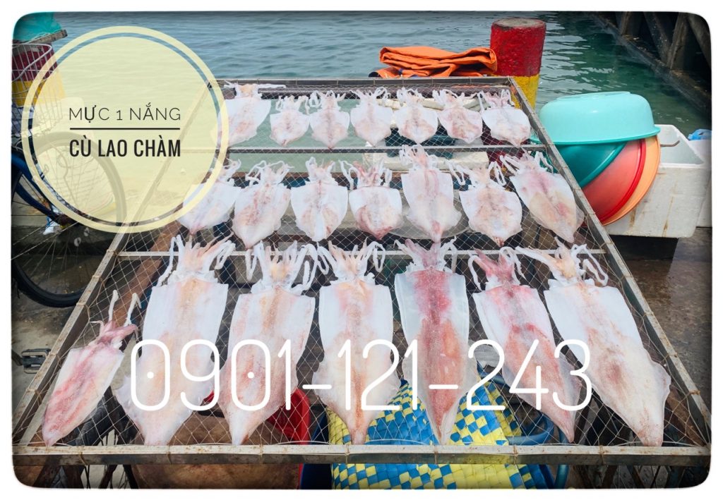 Mực 1 năng Cù Lao Chàm