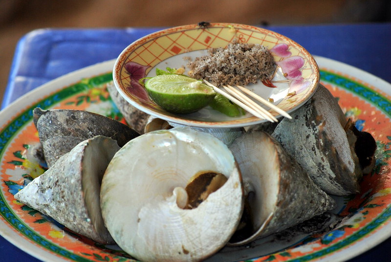 Ốc vú nàng Cù Lao Chàm